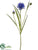Cornflower Spray - Blue Violet - Pack of 24