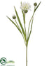 Silk Plants Direct Cornflower Spray - White - Pack of 24