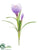 Crocus Spray - Amethyst - Pack of 12