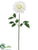 Dahlia Spray - White - Pack of 12