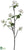 Dogwood Spray - White - Pack of 4