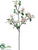 Dogwood Spray - Cream Pink - Pack of 6