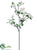 Silk Plants Direct Dogwood Spray - White - Pack of 6