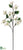 Dogwood Branch - Cream - Pack of 12