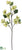 Dogwood Branch - Green - Pack of 12