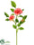 Dahlia Spray - Coral - Pack of 12