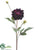 Dahlia Spray - Eggplant - Pack of 12