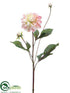 Silk Plants Direct Dahlia Spray - Pink Cream - Pack of 12