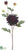 Dahlia Spray - Eggplant - Pack of 12