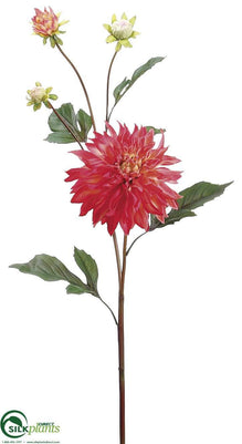 Dahlia Spray - Peach Pink - Pack of 12