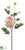 Dahlia Spray - Pink Cream - Pack of 12