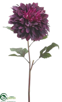 Dahlia Spray - Eggplant - Pack of 12
