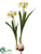 Daffodil Spray - White Yellow - Pack of 6