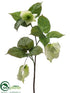 Silk Plants Direct Dove Tree Spray - Cream Green - Pack of 6