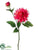 Dahlia Spray - Beauty - Pack of 12