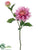 Dahlia Spray - Lavender - Pack of 12