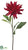 Spider Dahlia Spray - Tomato Red - Pack of 6