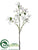 Dogwood Spray - White - Pack of 12