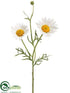 Silk Plants Direct Field Daisy Spray - White - Pack of 24
