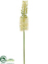 Silk Plants Direct Eremurus Spray - Cream - Pack of 12