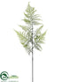 Silk Plants Direct Asparagus Fern Spray - Green - Pack of 12