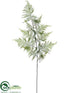 Silk Plants Direct Asparagus Fern Spray - Green - Pack of 12