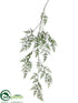 Silk Plants Direct Hanging Asparagus Fern Spray - Green - Pack of 6