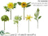 Silk Plants Direct Flower Spray Assortment - Yellow Green - Pack of 2