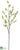 Flowering Bud Spray - Cream Green - Pack of 12