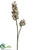 Fritillaria Spray - Green - Pack of 6