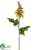 Flame Tree Flower Spray - Yellow - Pack of 12