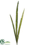Silk Plants Direct Flax Leaf Spray - Variegated - Pack of 12