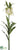 Imperial Crown Fritillaria Spray - Cream - Pack of 12