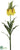Imperial Crown Fritillaria Spray - Yellow - Pack of 12