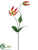 Gloriosa Spray - Flame - Pack of 12