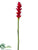 Ginger Flower Spray - Red - Pack of 12