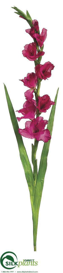 Gladiolus Spray - Fuchsia Green - Pack of 6