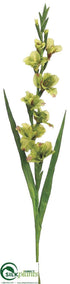 Silk Plants Direct Gladiolus Spray - Green Burgundy - Pack of 6