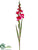 Gladiolus Spray - Fuchsia - Pack of 12