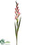 Gladiolus Spray - Pink - Pack of 12