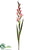 Gladiolus Spray - Pink - Pack of 12