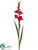 Gladiolus Spray - White - Pack of 12