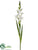 Gladiolus Spray - White - Pack of 12