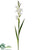Gladiolus Spray - White - Pack of 6