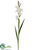 Gladiolus Spray - White - Pack of 6