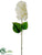 Hydrangea Spray - Cream - Pack of 12