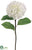 Hydrangea Spray - Cream - Pack of 12