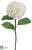 Hydrangea Spray - Cream - Pack of 12