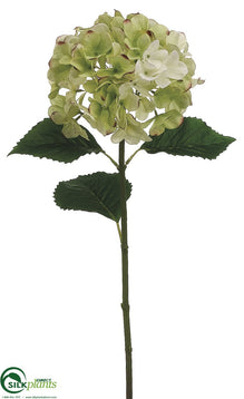 Hydrangea Spray - Green - Pack of 12