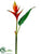 Heliconia Spray - Flame - Pack of 8